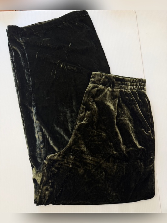 Anthropologie Pants - Anthropologie Wide Leg Velvet Velour Pants - Green - Small